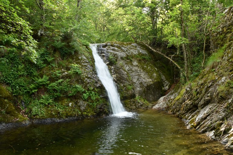 DSC_2603.JPG