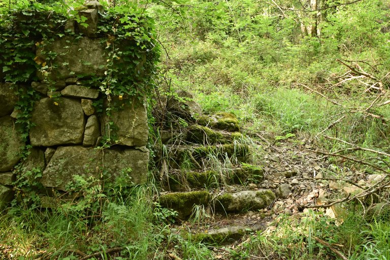 DSC_2772.JPG