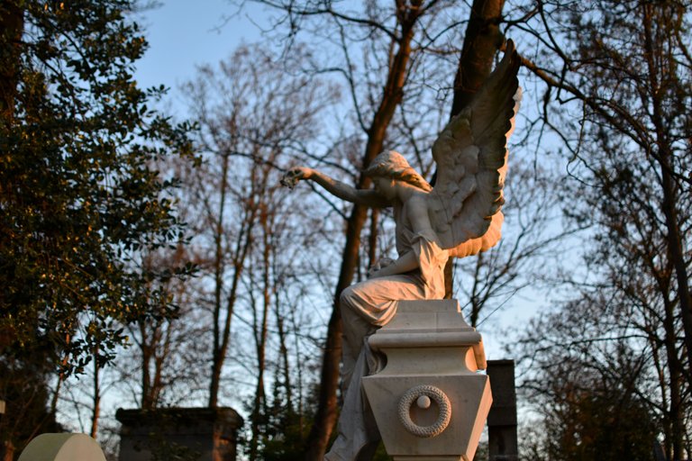 DSC_0054.JPG