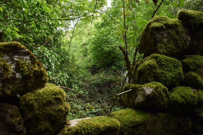 DSC_2851.JPG