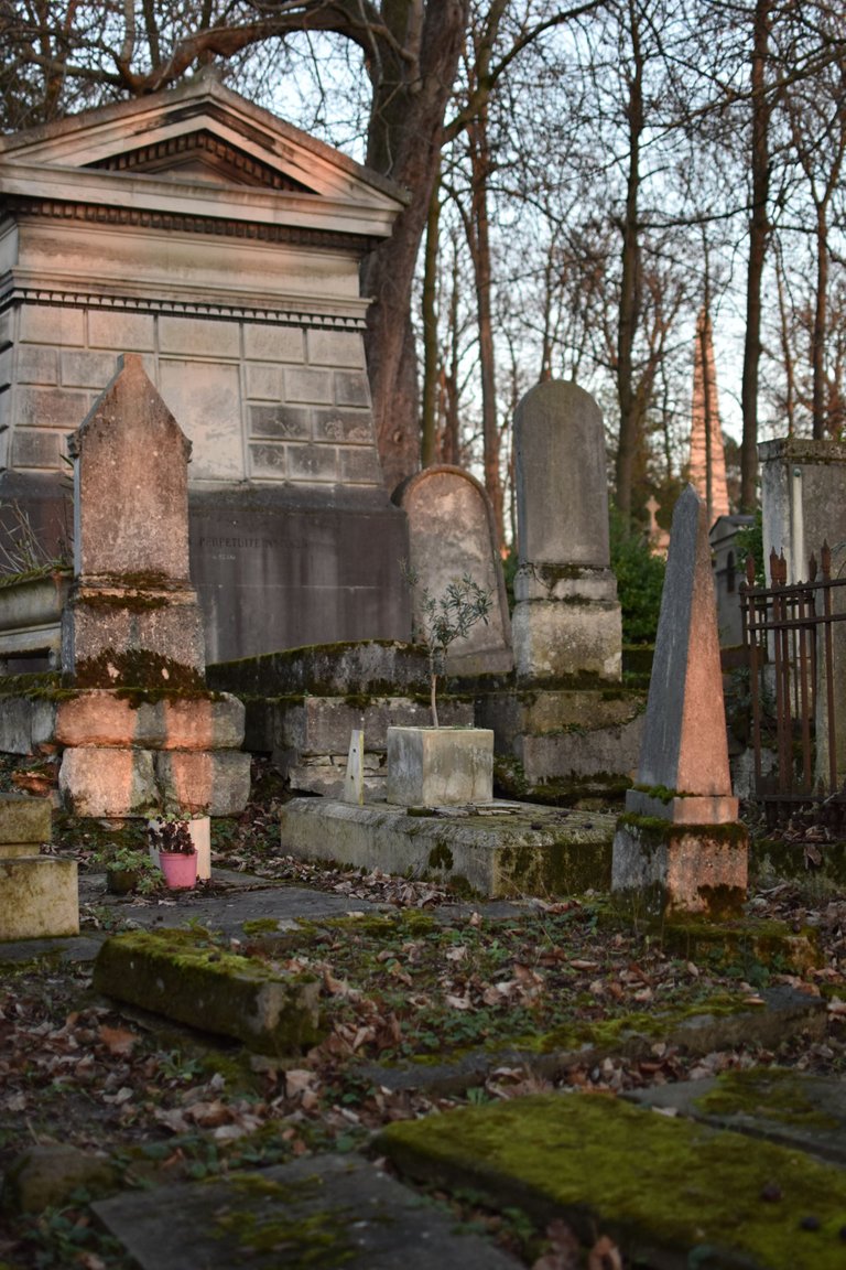 DSC_0098.JPG
