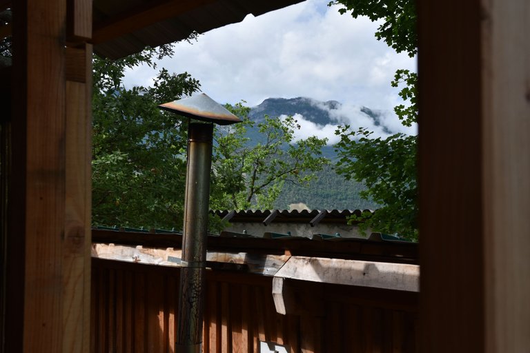 DSC_1946.JPG
