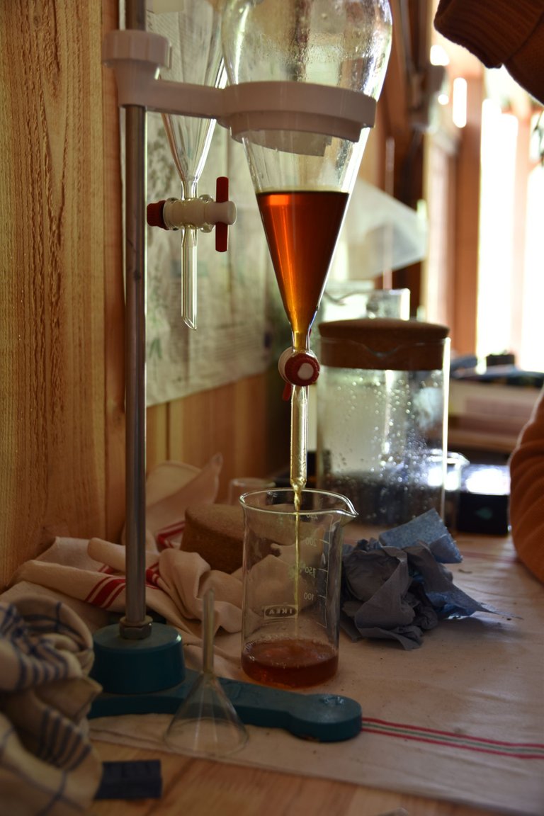 DSC_2261.JPG
