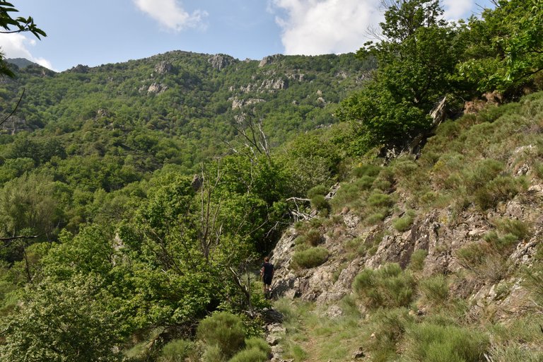 DSC_2516.JPG