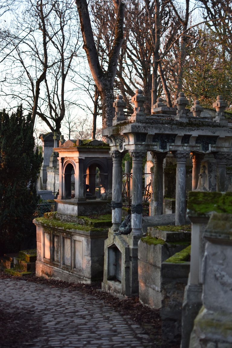 DSC_0083.JPG