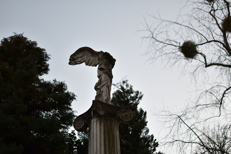 DSC_0167.JPG