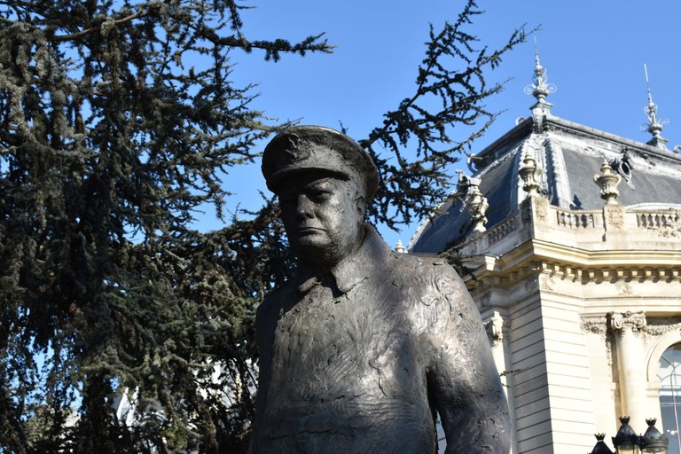 DSC_0901.JPG
