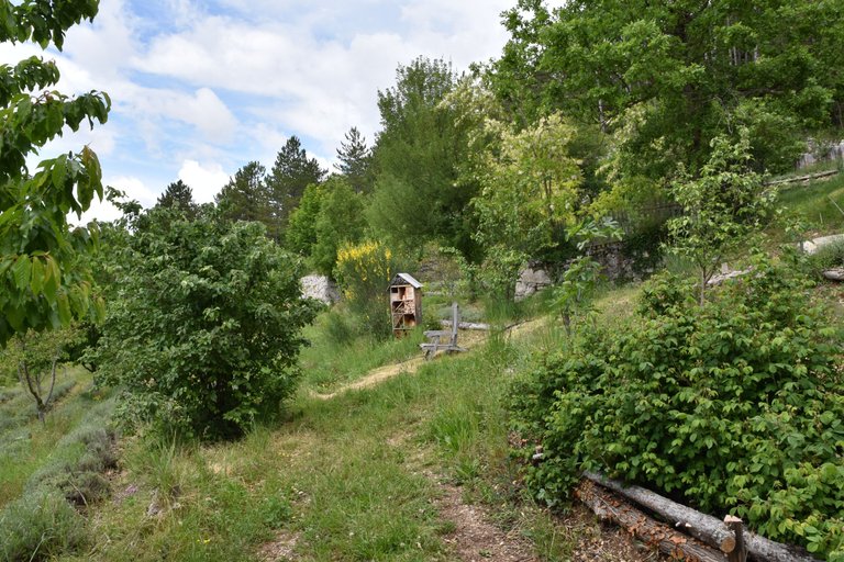 DSC_2363.JPG