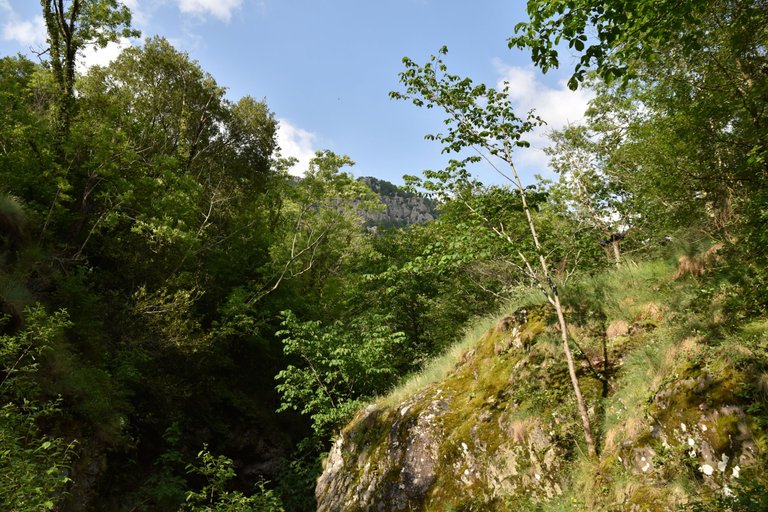 DSC_2632.JPG