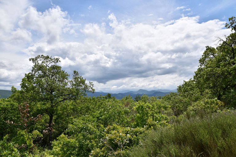 DSC_1893.JPG