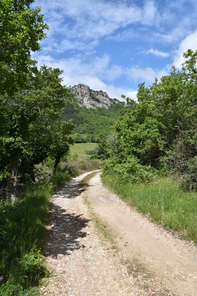 DSC_1728.JPG