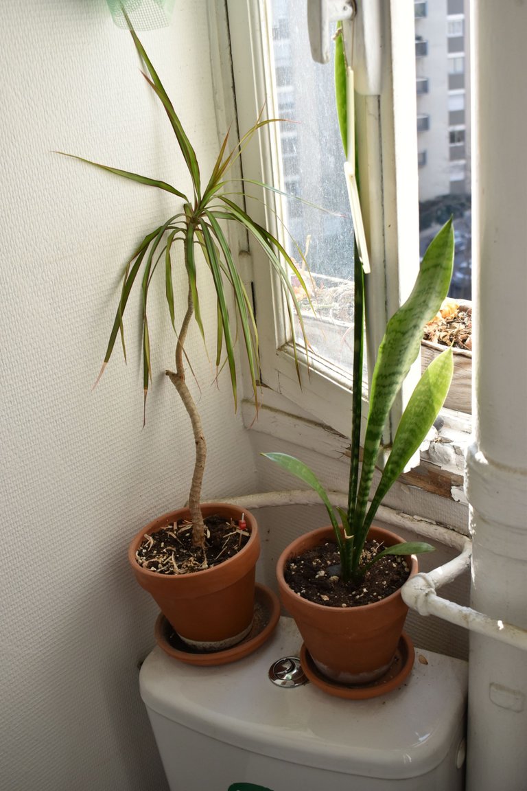 DSC_0204.JPG