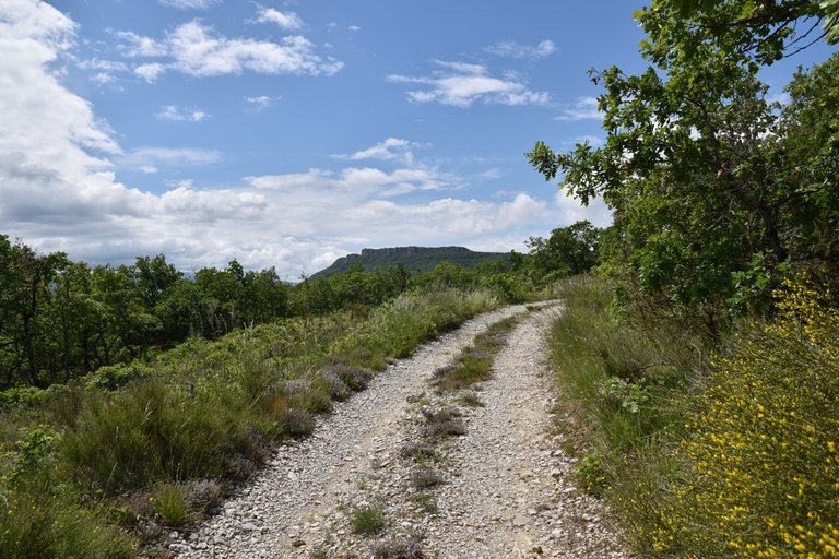 DSC_1774.JPG