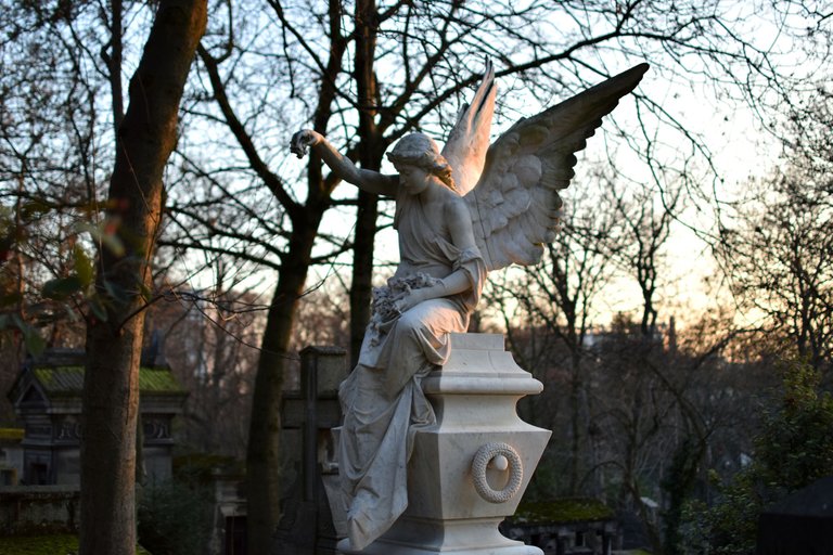 DSC_0059.JPG