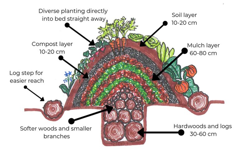 hugelkultur_bed_diagram.jpg