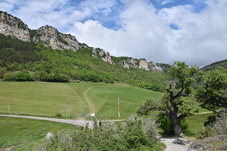 DSC_1671.JPG