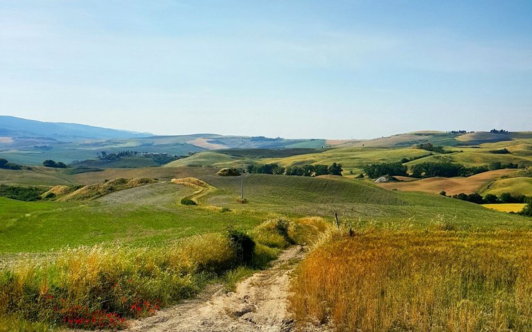 landscape-tree-nature-path-pathway-grass-874068-pxhere.com.jpg