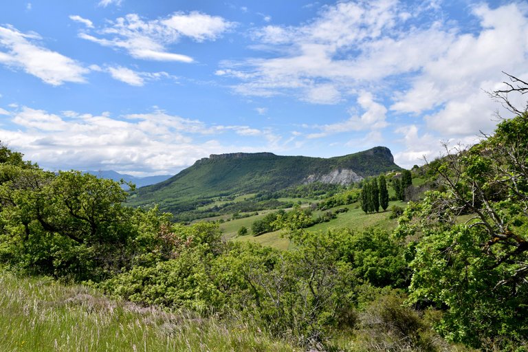DSC_1677.JPG