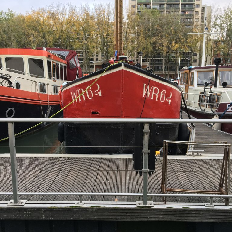 IMG_7282.JPG