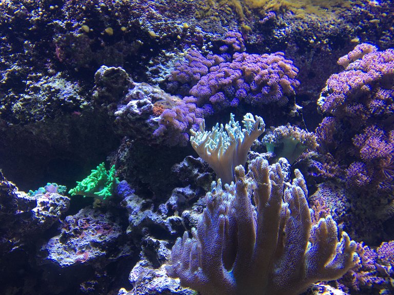 IMG_3760.JPG