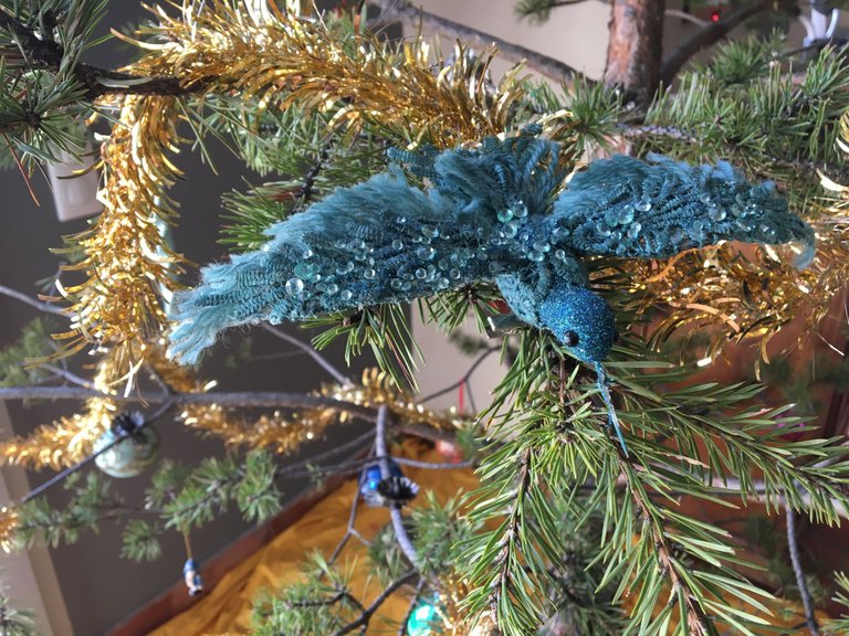 IMG_2737.JPG