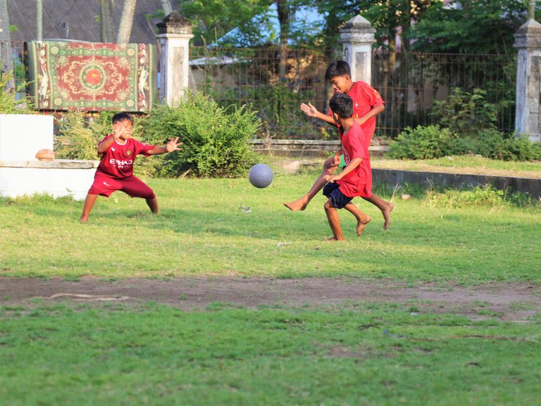 IMG_6692.jpg