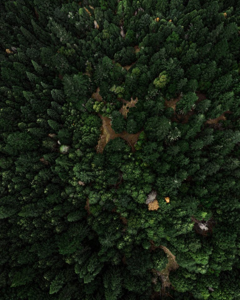 DJI_0215-HDR.jpg