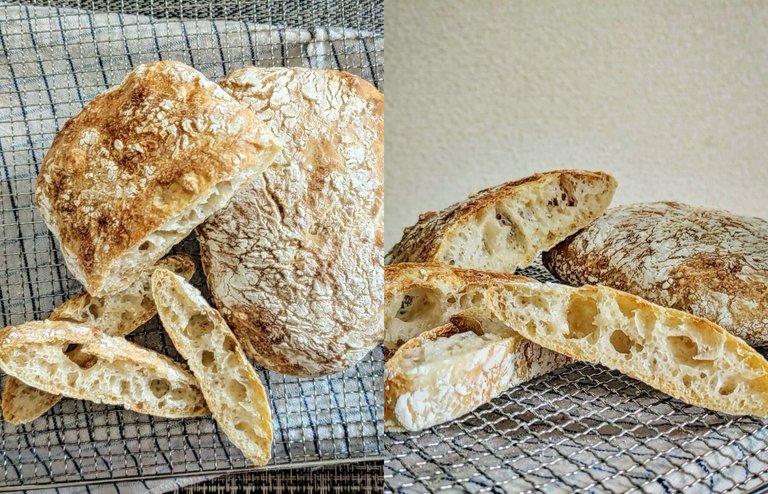 Ciabatta - this one is a success I would say, look at those crumbs