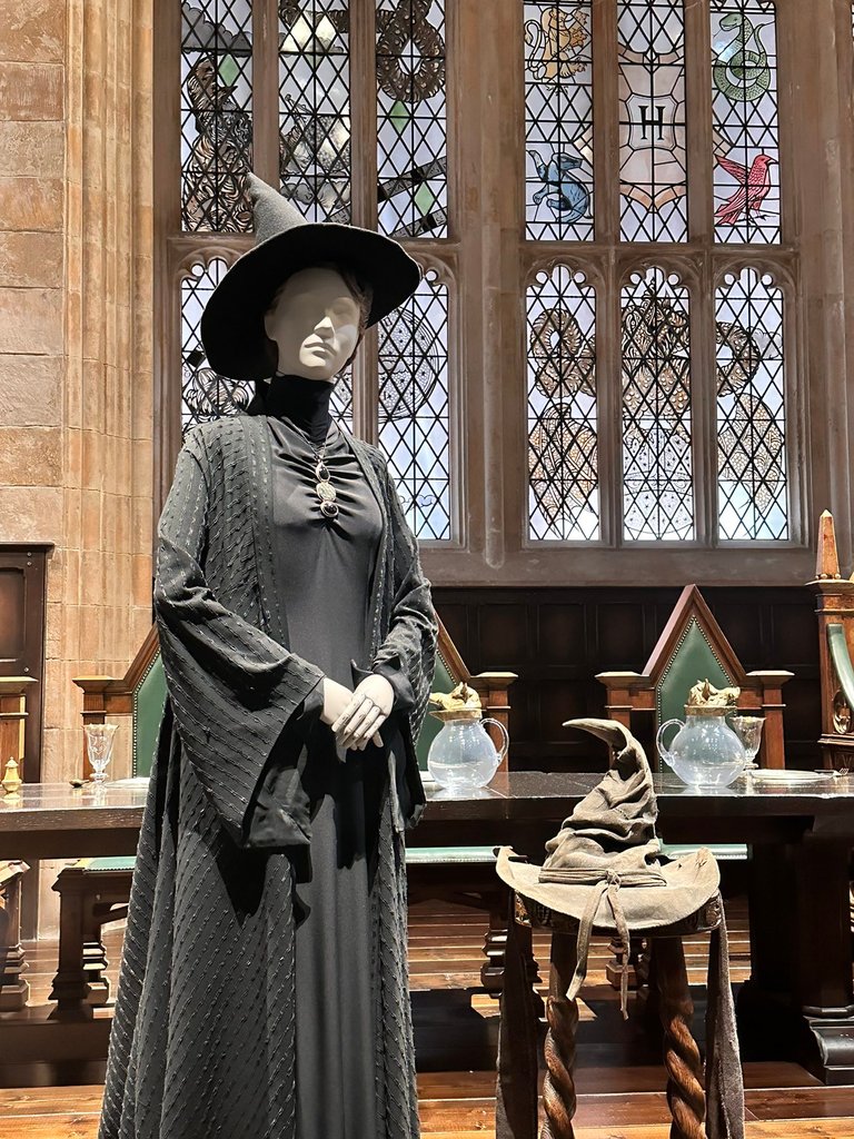 McGonagall and the sorting hat