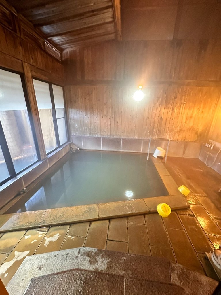 Hotel's indoor onsen