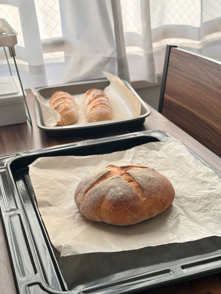 Sourdough (Anyeastasia), Baguettes (experiment)