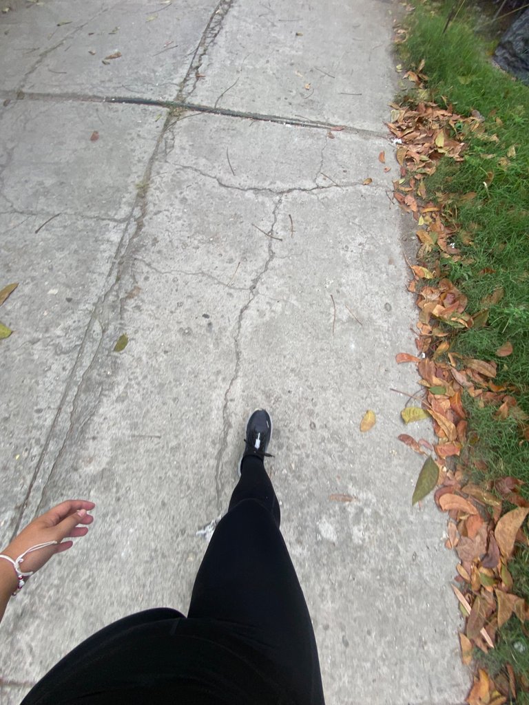 IMG_0130.jpeg