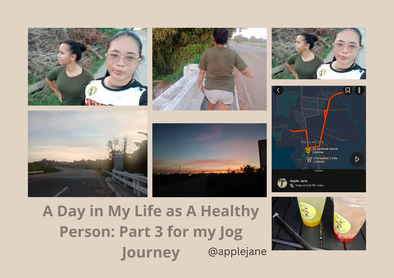 Beige Brown Minimalist Mood Board Photo Collage A4 Landscape.png