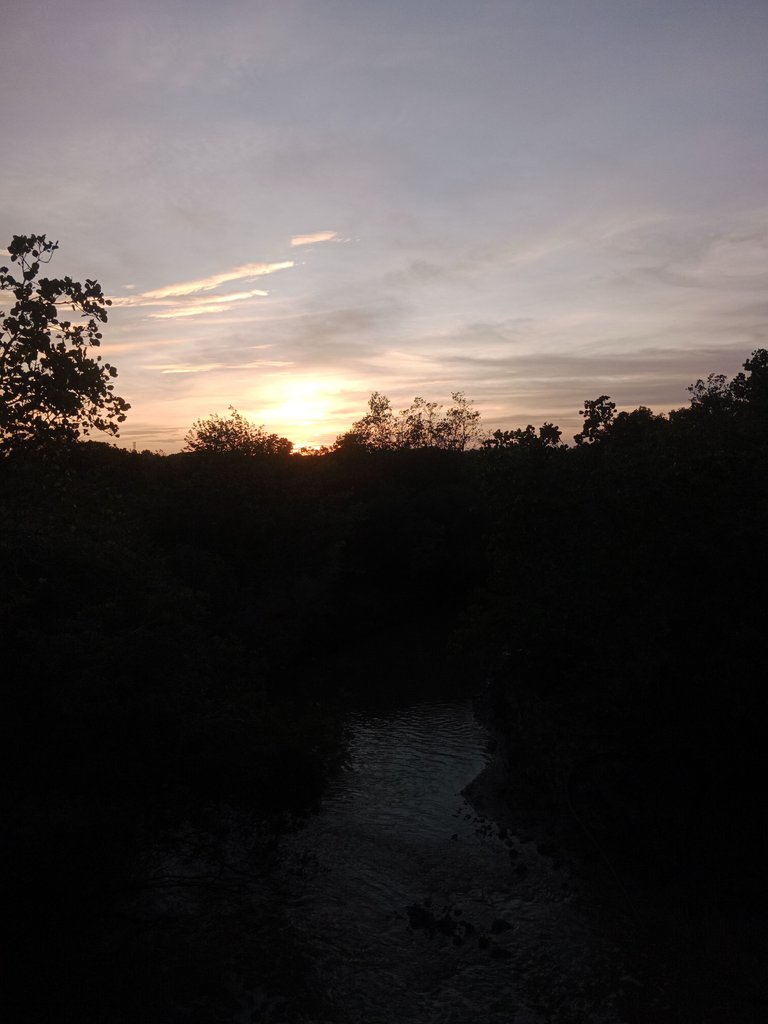 IMG_20250331_175245.jpg