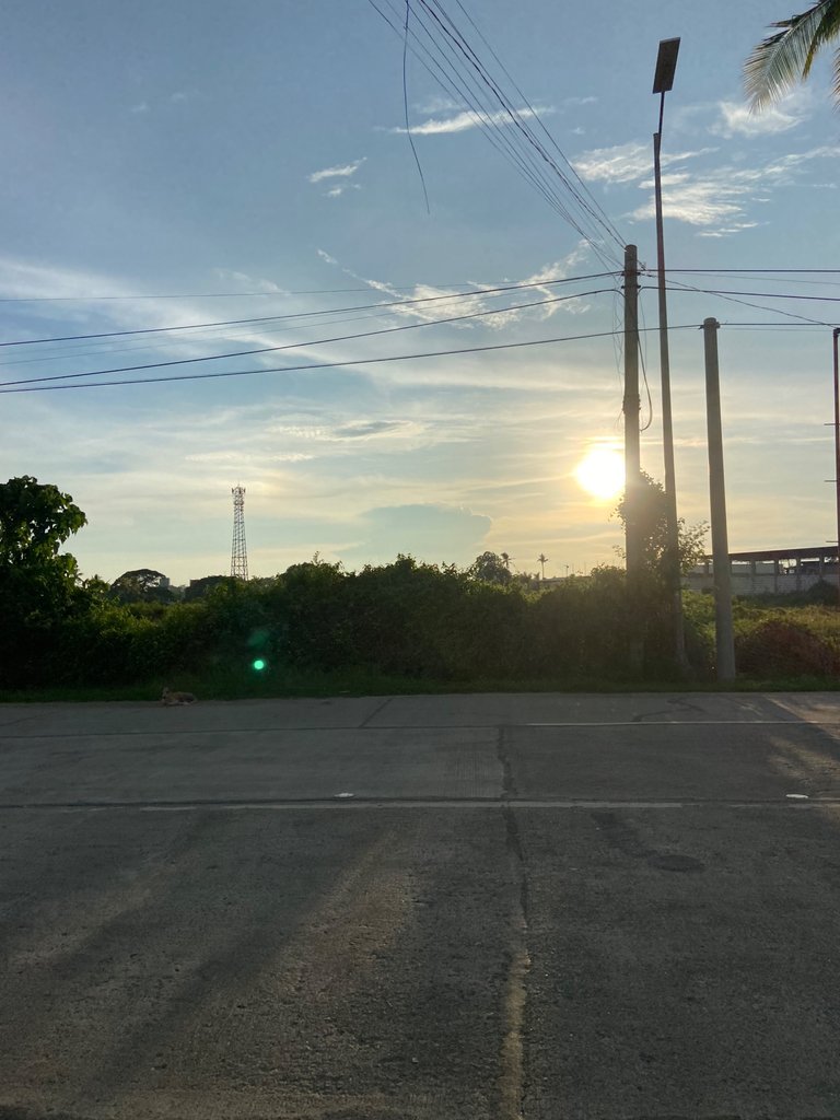 IMG_1120.jpeg