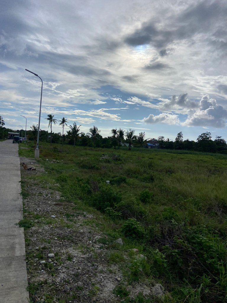 IMG_0200.jpeg