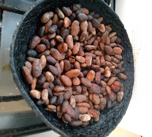 cacao3.png