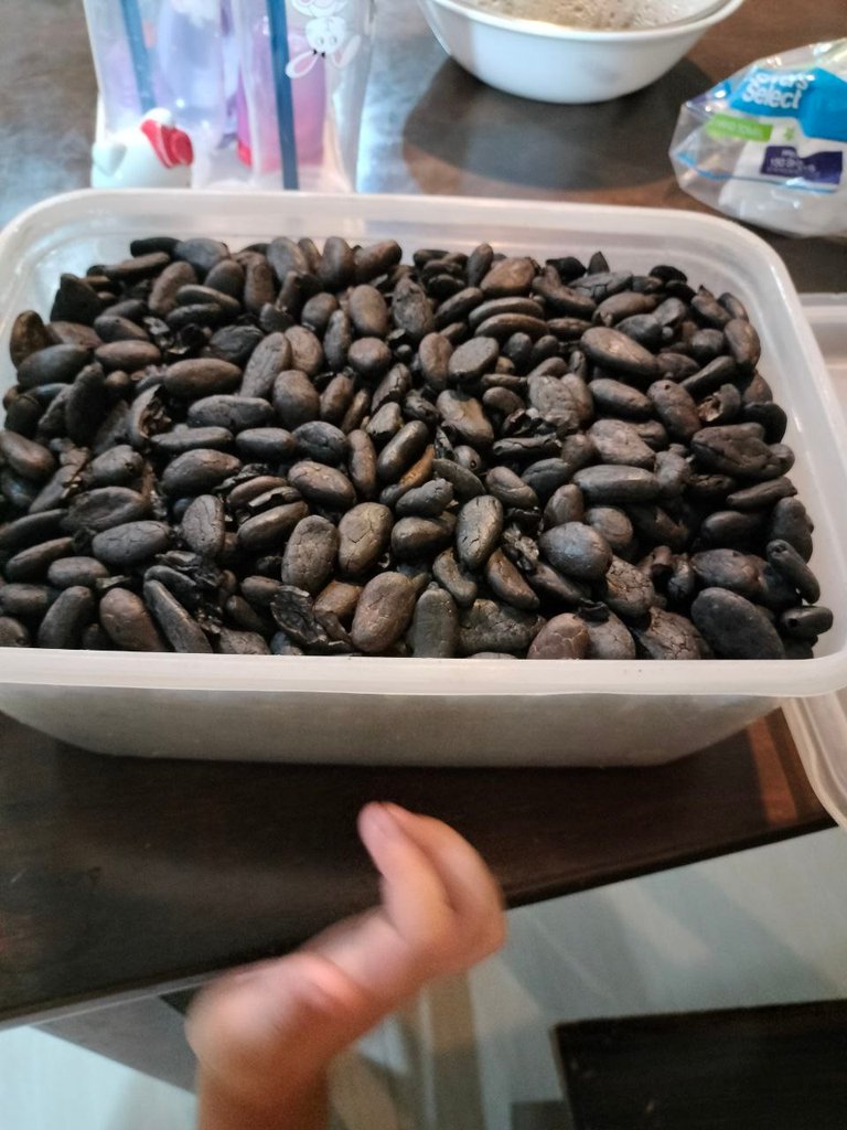 Cacao pic 1 (4).jpg