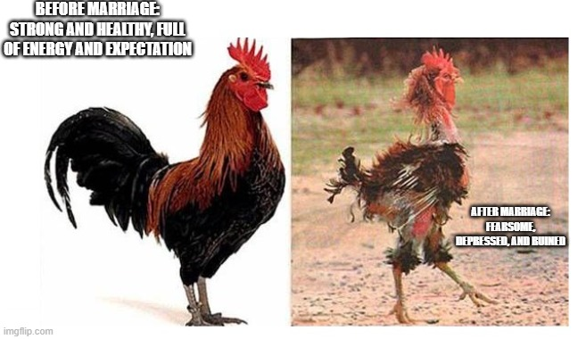 BeforeAndAfterMarriage.png