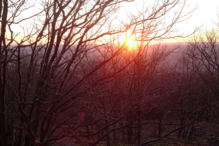 DSCF9910.jpg