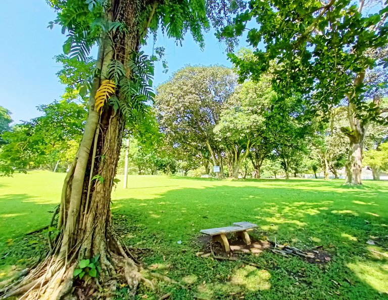 83.jpg