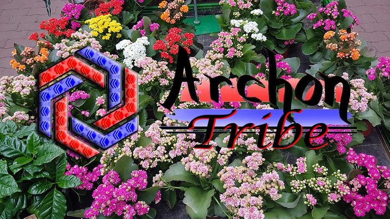 atn96logo.jpg
