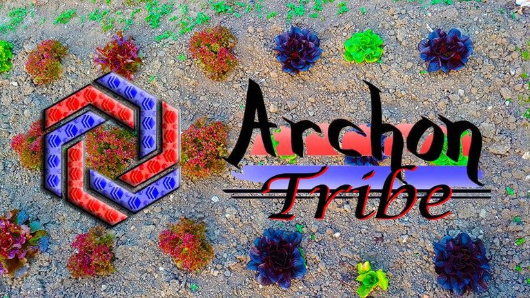 ArchonTribe News 90: Contests, Rewards, And Winners!