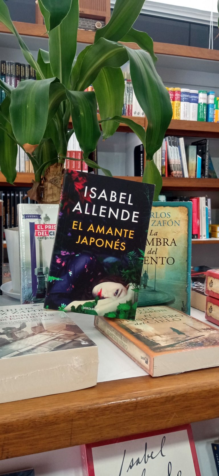 Isabel Allende 04.jpg