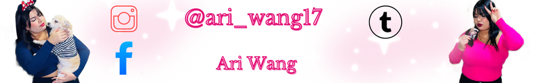 @ari_wang17_20250117_153446_0000.png