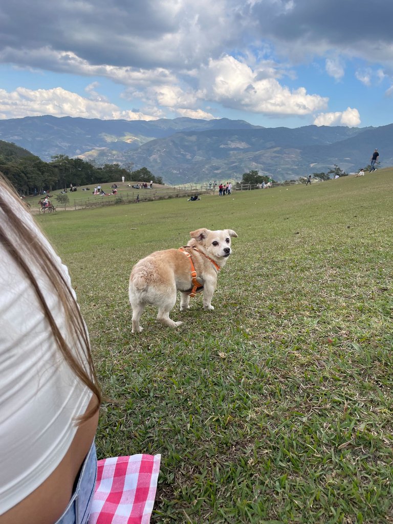 IMG_4256.jpeg