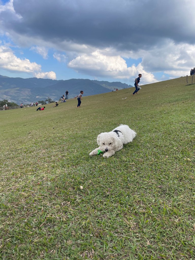 IMG_4253.jpeg