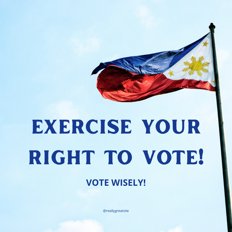 Exercise Your Right to Vote.png