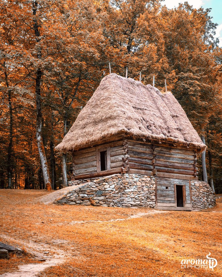 Old House.jpg