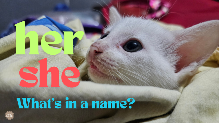 Her-She | What's in a Name?